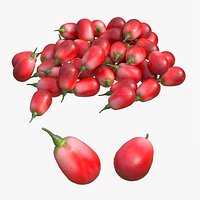 Goji berry Fruit