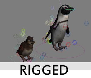 directx rigged penguins