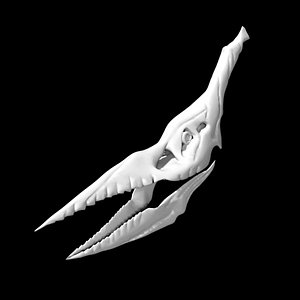Pterasaur skull