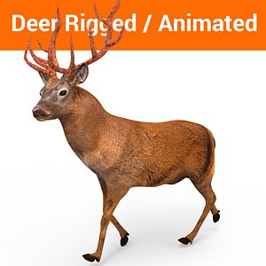 deer rigged animation model