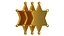 Sheriff Star Gold or Silver