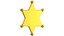 Sheriff Star Gold or Silver