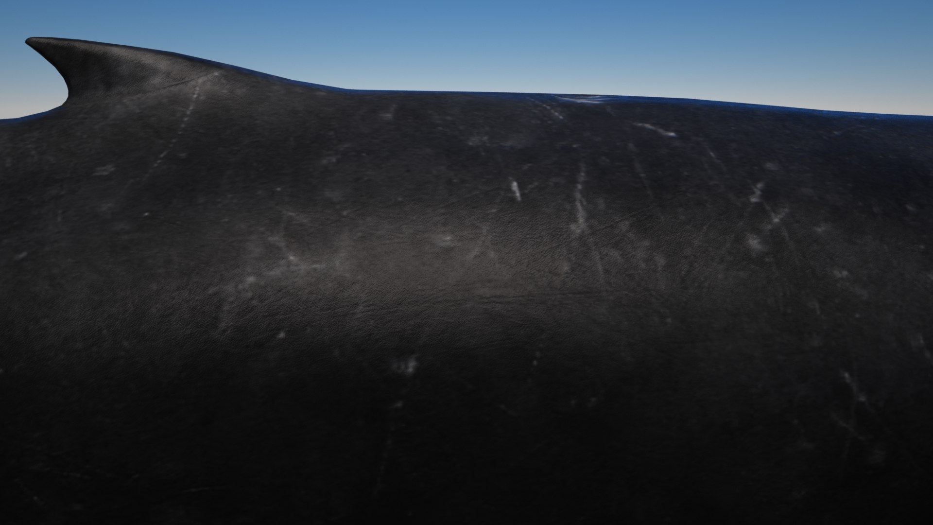 humpback whale 3D model https://p.turbosquid.com/ts-thumb/7U/AyQmre/44vQMpK6/octane_6/jpg/1557135712/1920x1080/fit_q87/494f5b28c9eb43c0942ce274e930bbae758b5019/octane_6.jpg