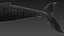humpback whale 3D model
