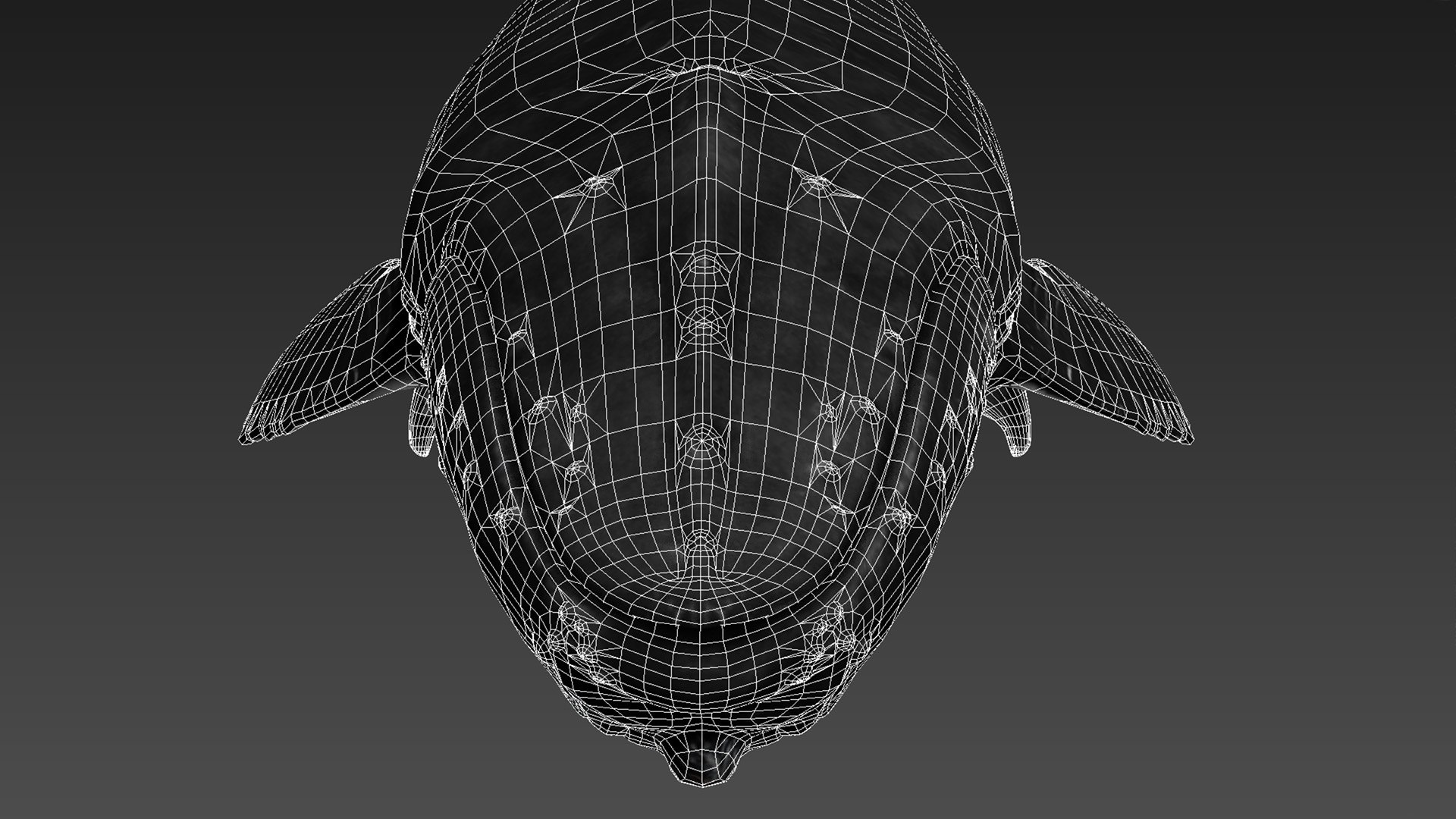 humpback whale 3D model https://p.turbosquid.com/ts-thumb/7U/AyQmre/Vu3OeKYy/5/jpg/1557135712/1920x1080/fit_q87/a3ed45d90d885122d65724675bf48b0cd12d8c3c/5.jpg