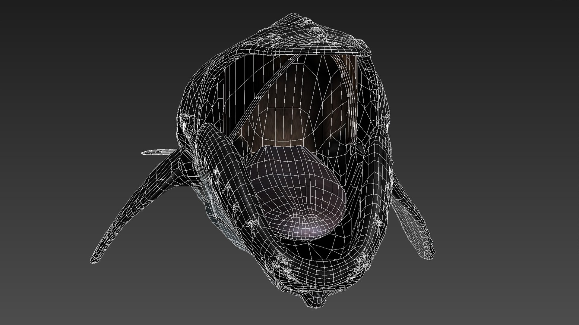 humpback whale 3D model https://p.turbosquid.com/ts-thumb/7U/AyQmre/afP7R73D/15/jpg/1557135712/1920x1080/fit_q87/aa8442e77862aafaba8d8975526bb13256acd1d9/15.jpg