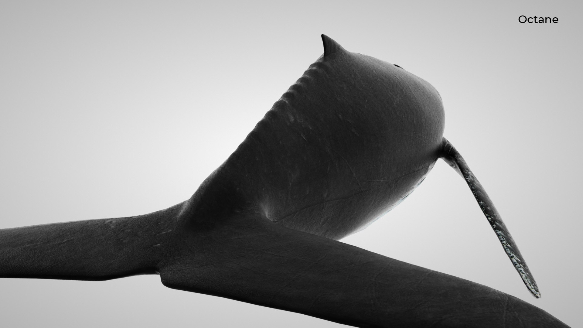 humpback whale 3D model https://p.turbosquid.com/ts-thumb/7U/AyQmre/izc8teJO/octane_5/jpg/1557135712/1920x1080/fit_q87/1fc5fd08eece3d793f139bfa688254d79447a14a/octane_5.jpg