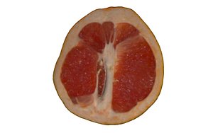 Half Grapefruit