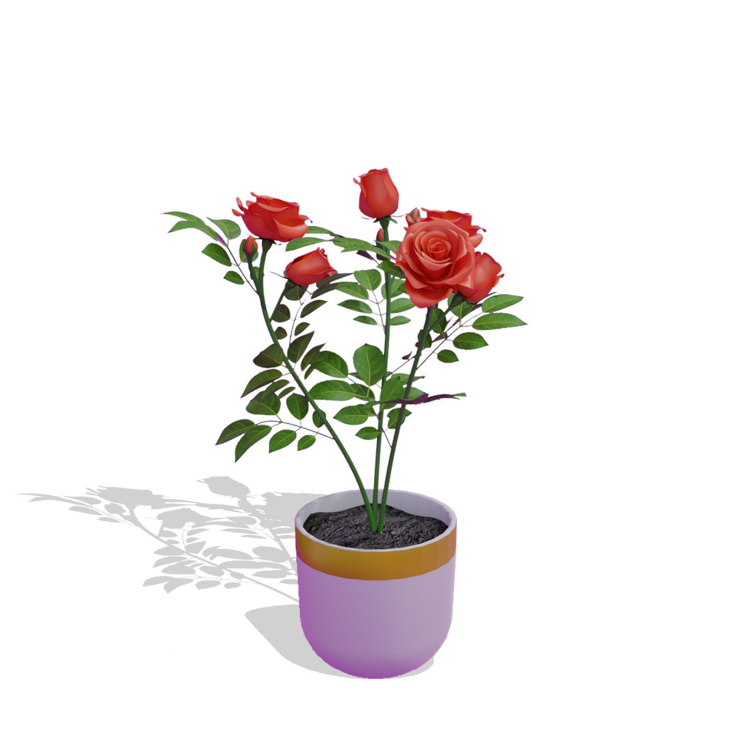 Small Rose Plant model https://p.turbosquid.com/ts-thumb/7U/Yds2gA/Nw/untitled2000copy/png/1684521601/1920x1080/fit_q87/53f3898950e7c364fe5813e2dde1697114b647fd/untitled2000copy.jpg