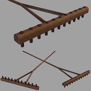 rake 3d model