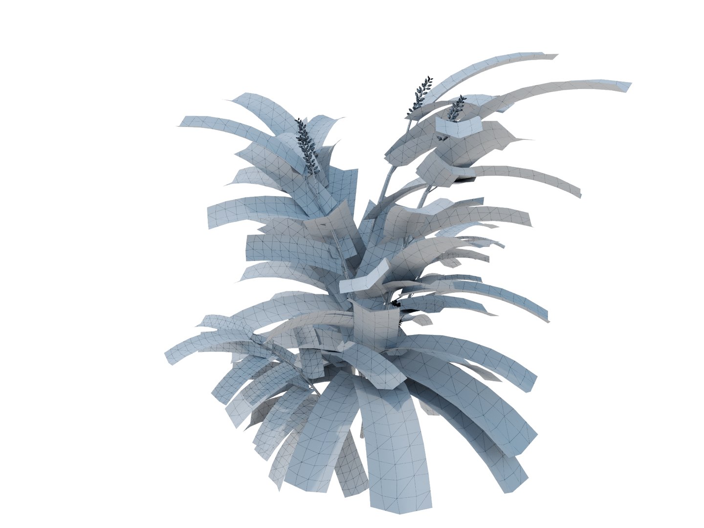 3d model plant alpinia zerumbet https://p.turbosquid.com/ts-thumb/7U/aVXWpY/7y/alpiniazerumbetrender02wire/jpg/1700571024/1920x1080/fit_q87/38d9392d972366da5f09063d100f639a77c64462/alpiniazerumbetrender02wire.jpg