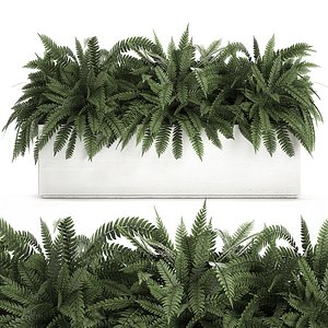 ornamental interior white pots 3D