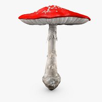 Amanita Big Mushroom