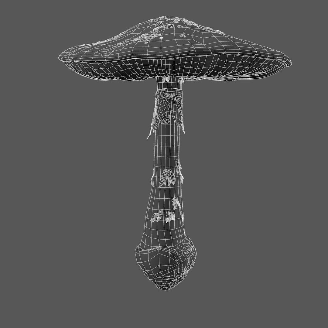 big amanita mushroom 3d c4d https://p.turbosquid.com/ts-thumb/7U/dL69kn/b2hDKiUj/amanita_mashroom_outline_0000/jpg/1466501374/1920x1080/fit_q87/727db990ac76980d51d42fdedd044d704e72d597/amanita_mashroom_outline_0000.jpg
