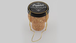 Champagne Bottle Cork 3D model