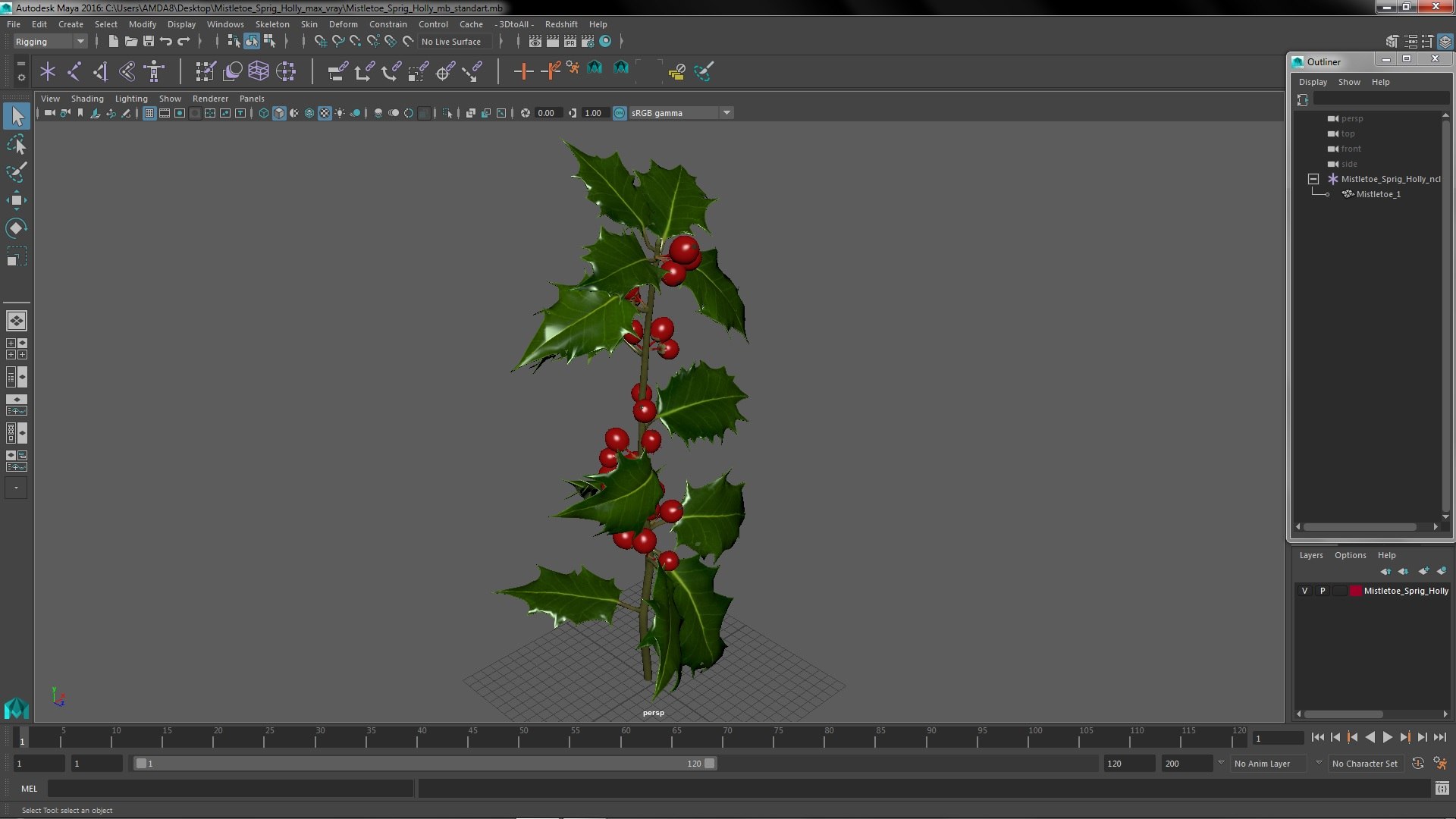 Mistletoe Sprig Holly 3D model https://p.turbosquid.com/ts-thumb/7U/jXLc3b/8J/mistletoesprighollymb3dmodel024/jpg/1684965215/1920x1080/fit_q87/519439b1518a863a90a5a991116e59f9561fbe79/mistletoesprighollymb3dmodel024.jpg