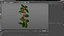 Mistletoe Sprig Holly