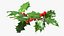 Mistletoe Sprig Holly