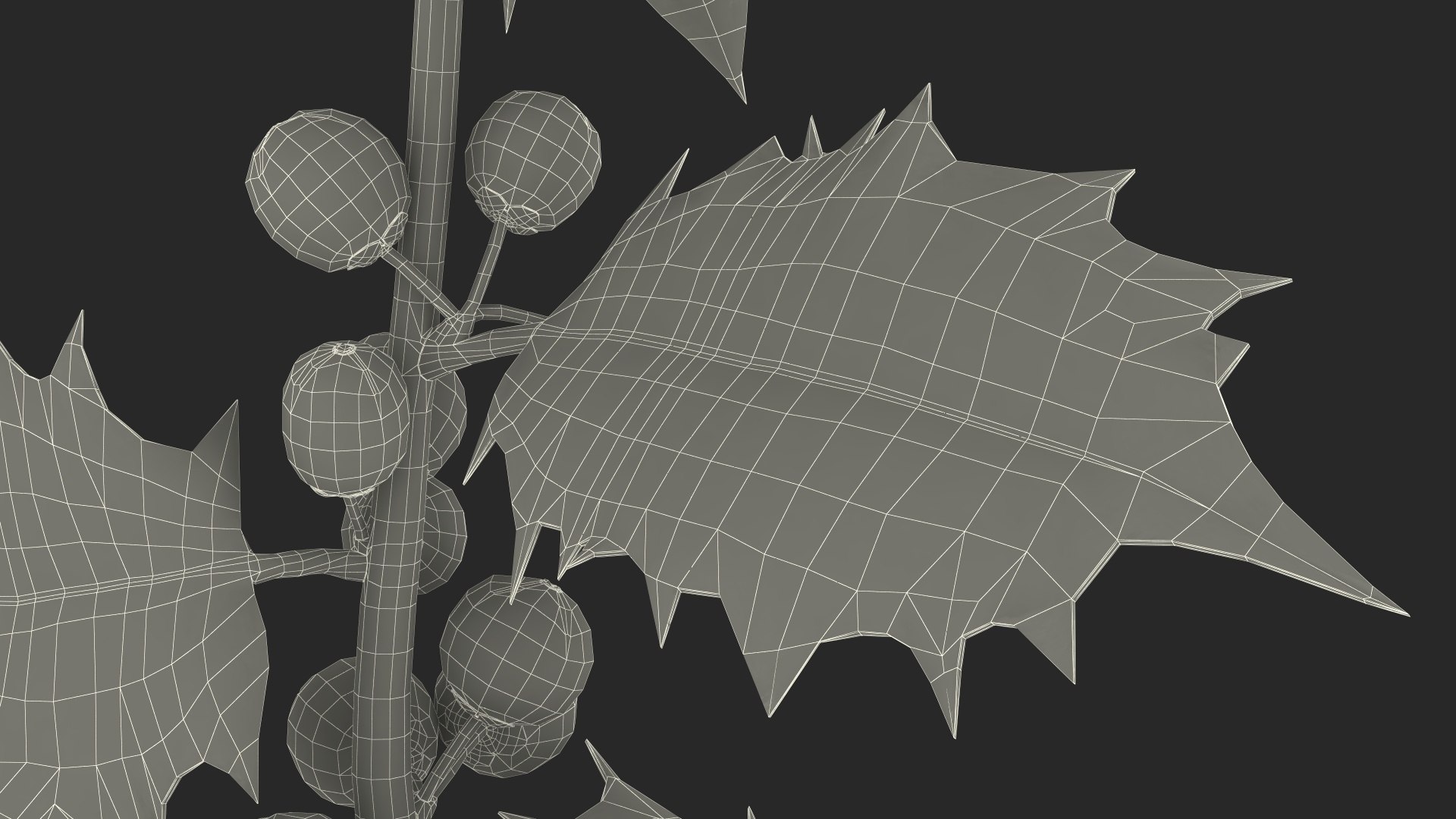 Mistletoe Sprig Holly 3D model https://p.turbosquid.com/ts-thumb/7U/jXLc3b/FN/mistletoesprighollymb3dmodel028/jpg/1684965230/1920x1080/fit_q87/26c6416bbe49255f54fd6b1a47776be320dc7b0a/mistletoesprighollymb3dmodel028.jpg
