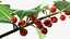 Mistletoe Sprig Holly
