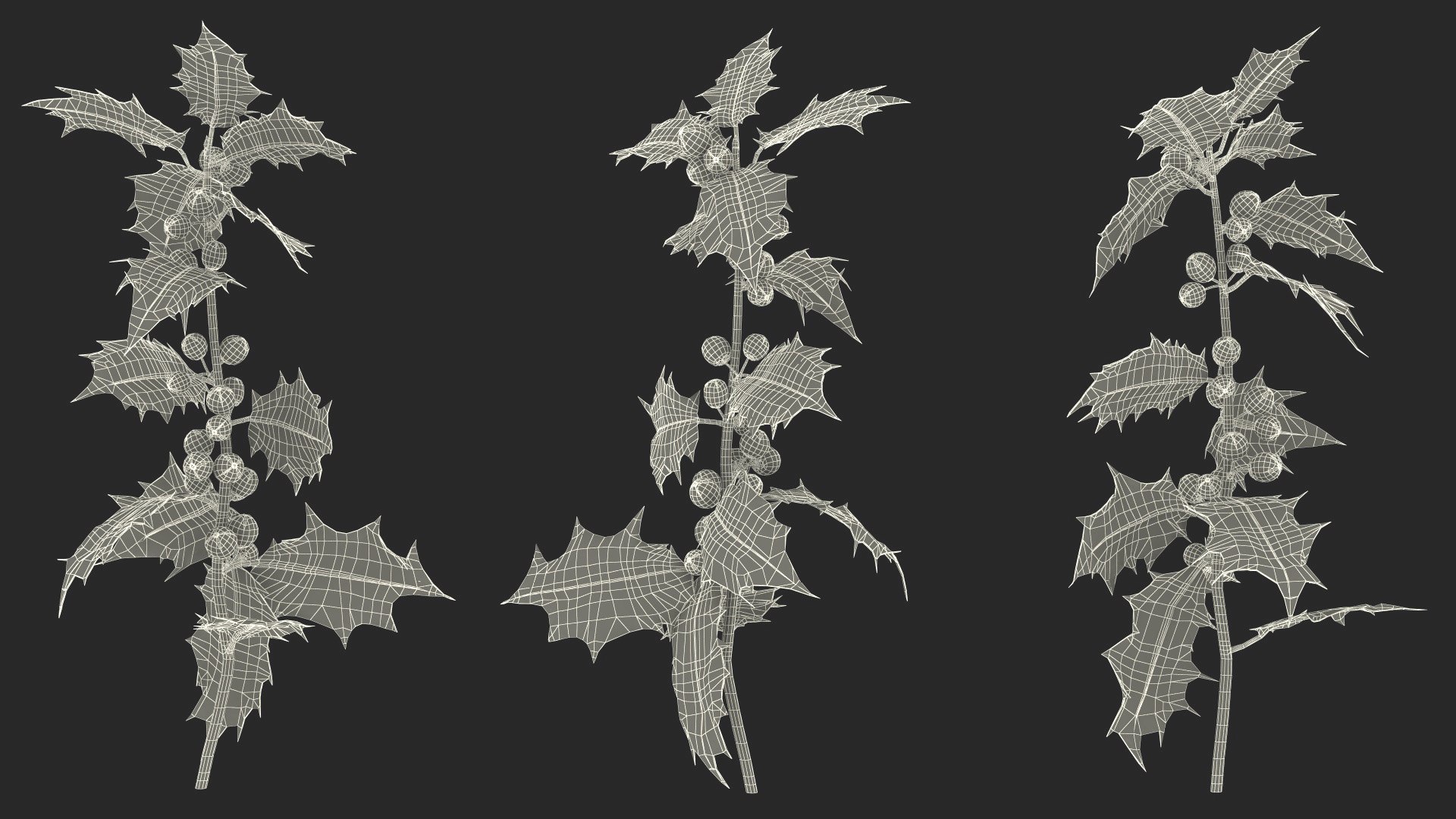 Mistletoe Sprig Holly 3D model https://p.turbosquid.com/ts-thumb/7U/jXLc3b/KY/mistletoesprighollymb3dmodel025/jpg/1684965219/1920x1080/fit_q87/05b5c88eeaa49149ab9151a2a60f82c4c31409ff/mistletoesprighollymb3dmodel025.jpg