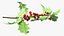 Mistletoe Sprig Holly