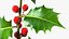 Mistletoe Sprig Holly