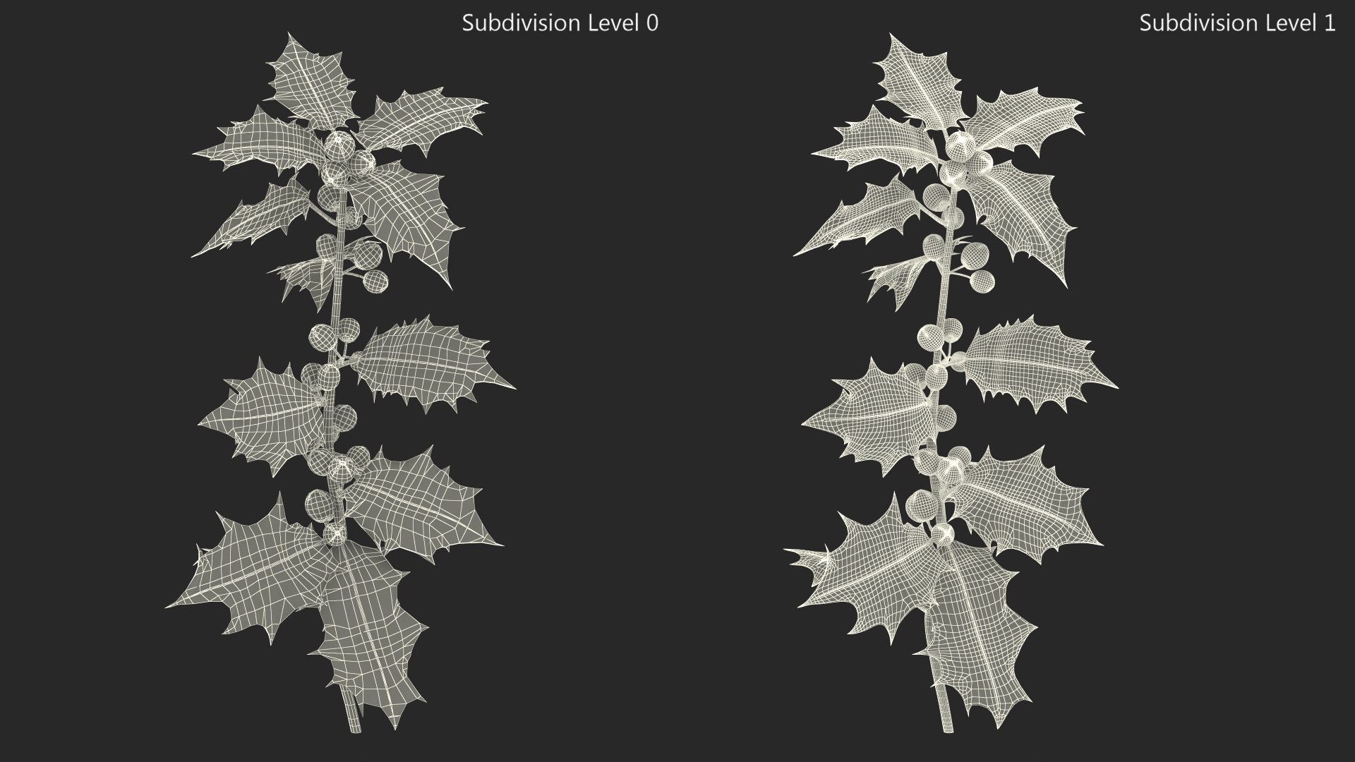 Mistletoe Sprig Holly 3D model https://p.turbosquid.com/ts-thumb/7U/jXLc3b/ZW/mistletoesprighollymb3dmodel017/jpg/1684965185/1920x1080/fit_q87/f6d5568d05ef848c0cbe994a7e9341ca0c8f71f4/mistletoesprighollymb3dmodel017.jpg