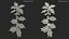 Mistletoe Sprig Holly