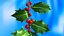Mistletoe Sprig Holly