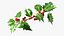 Mistletoe Sprig Holly