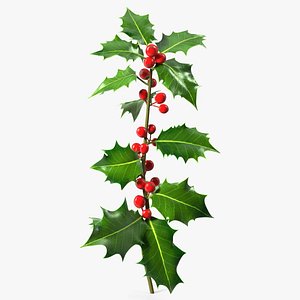 Mistletoe Sprig Holly 3D model