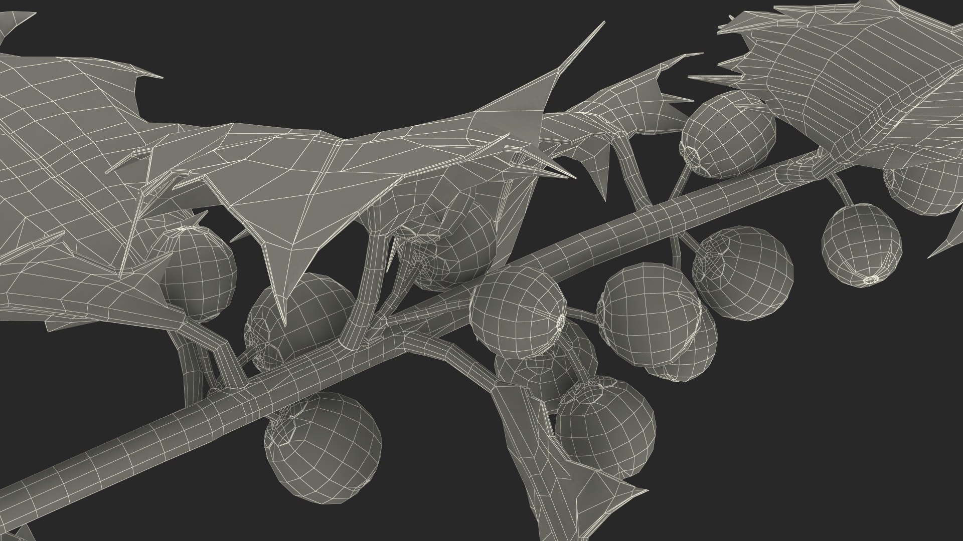 Mistletoe Sprig Holly 3D model https://p.turbosquid.com/ts-thumb/7U/jXLc3b/oS/mistletoesprighollymb3dmodel029/jpg/1684965234/1920x1080/fit_q87/ee83d3020b4d5f3983e77bb9ca5326ad5f563740/mistletoesprighollymb3dmodel029.jpg