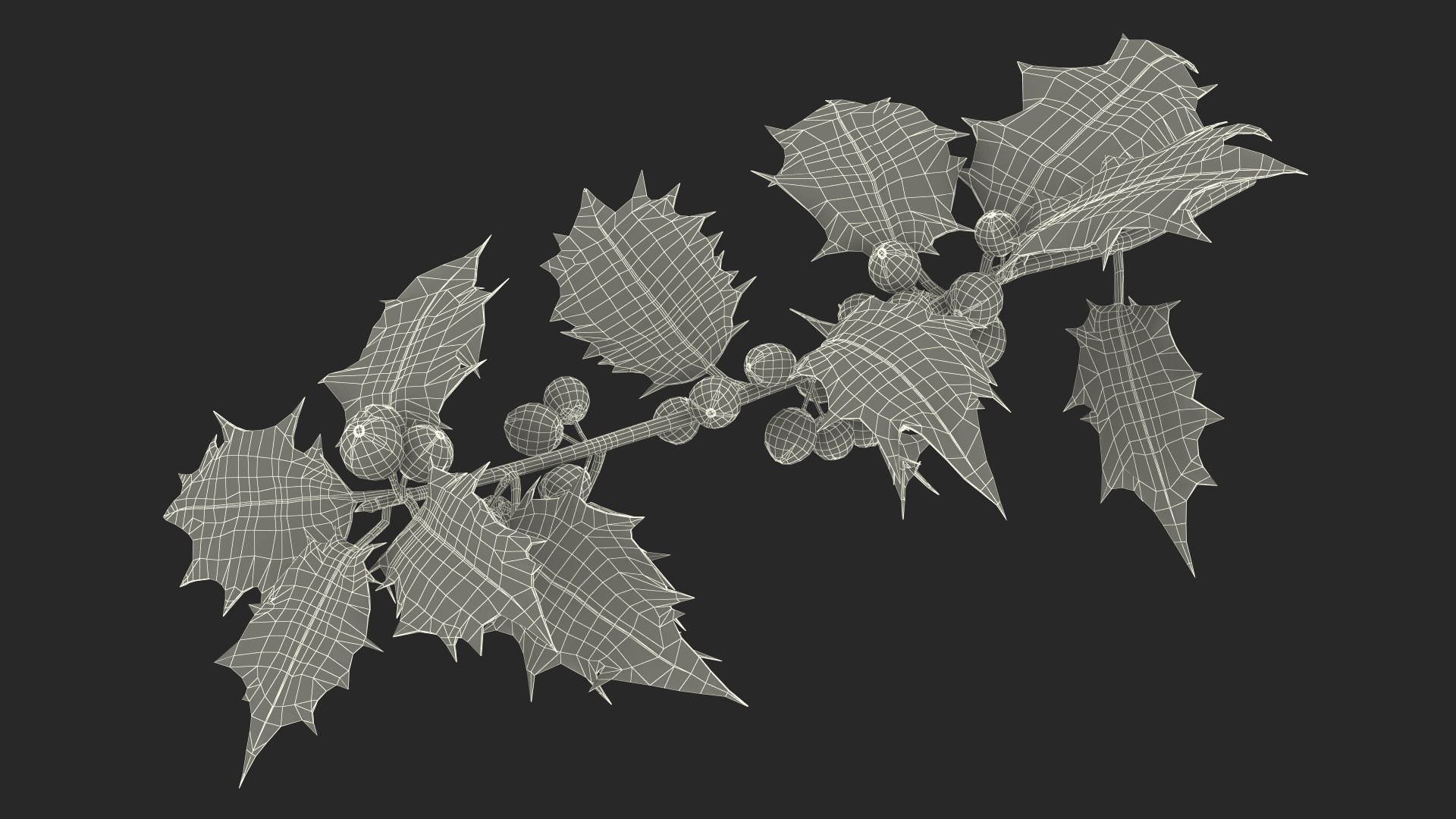 Mistletoe Sprig Holly 3D model https://p.turbosquid.com/ts-thumb/7U/jXLc3b/wh/mistletoesprighollymb3dmodel026/jpg/1684965223/1920x1080/fit_q87/139dfe1641377a950b954c881b7363fca80b73bd/mistletoesprighollymb3dmodel026.jpg