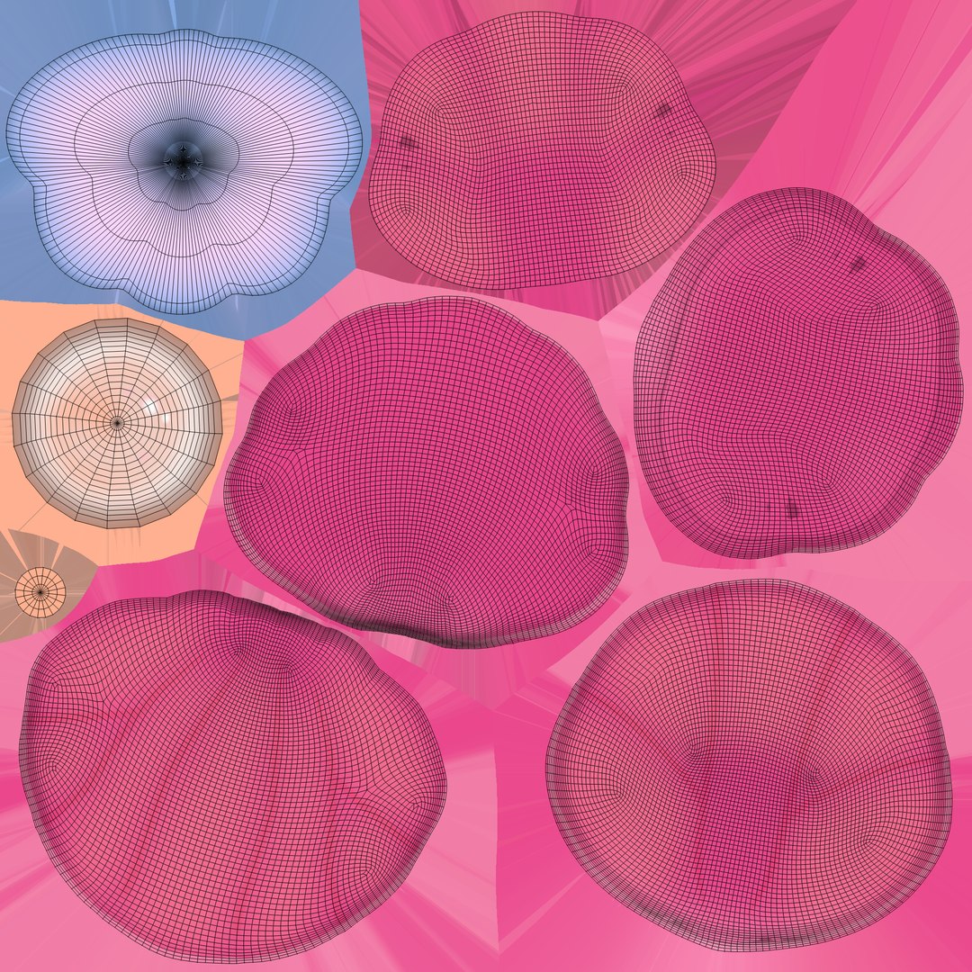 Open Clam Sea Shell 03 3D https://p.turbosquid.com/ts-thumb/7U/kaWNfC/ov/uv/png/1735363145/1920x1080/fit_q87/53af5f84bb77b7183d251a3476cd33326132c572/uv.jpg