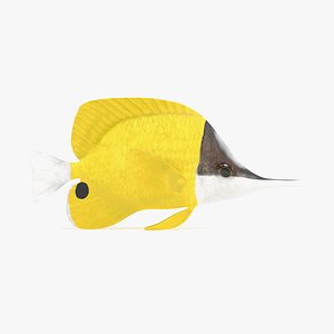 3D longnose butterflyfish model