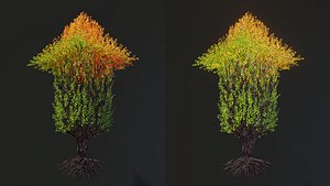 Tree in a shape of an arrow