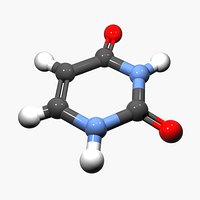 DNA - Uracil Nucleobase