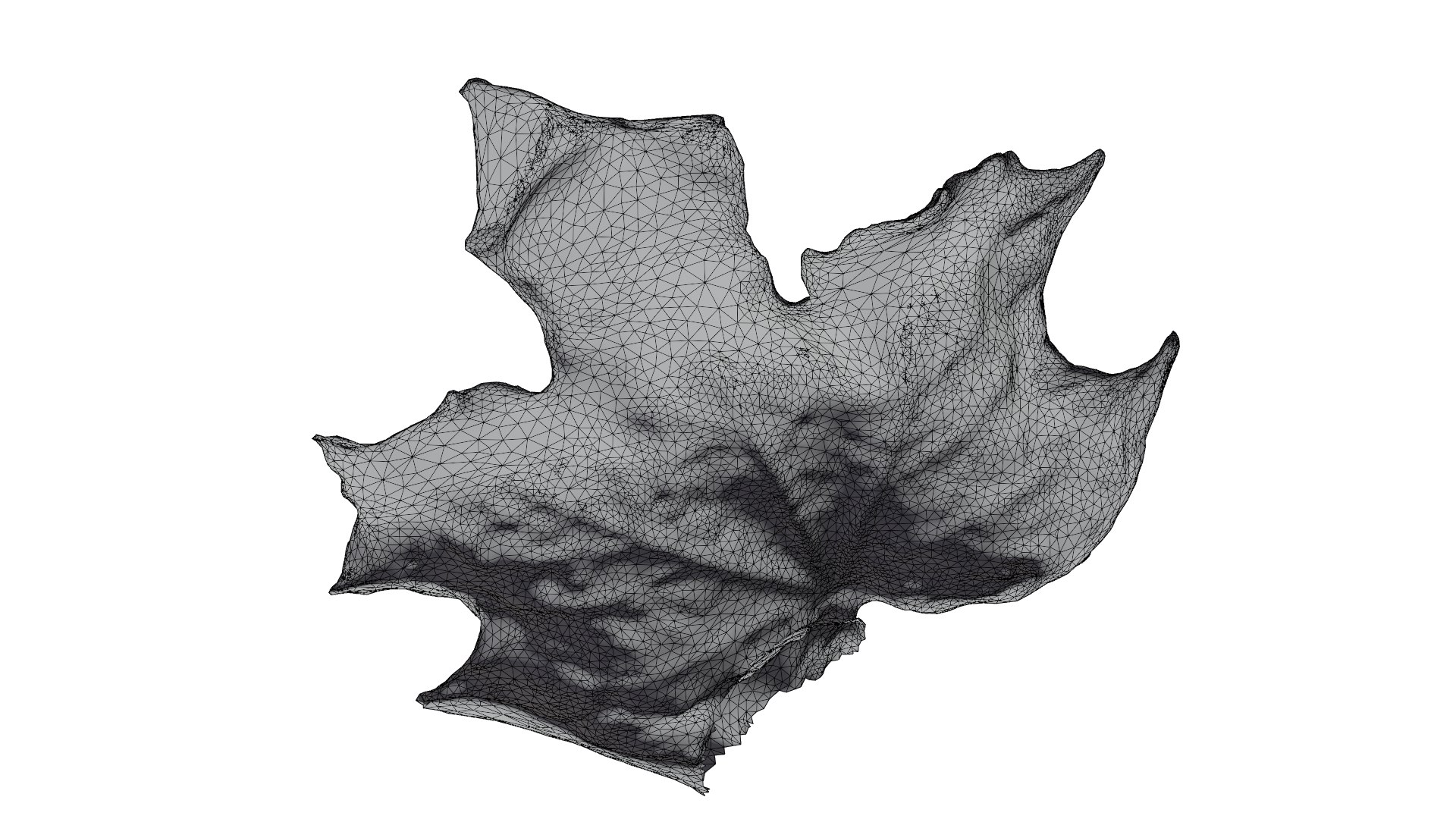 Red Leaf 3D model https://p.turbosquid.com/ts-thumb/7V/Jz3Ngh/3y/redleaf_wireframe/png/1669890823/1920x1080/fit_q87/2f4565fdd1906ef037b2764823836afdee51d26b/redleaf_wireframe.jpg