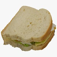 Turkey Sandwich 01 RAW Scan