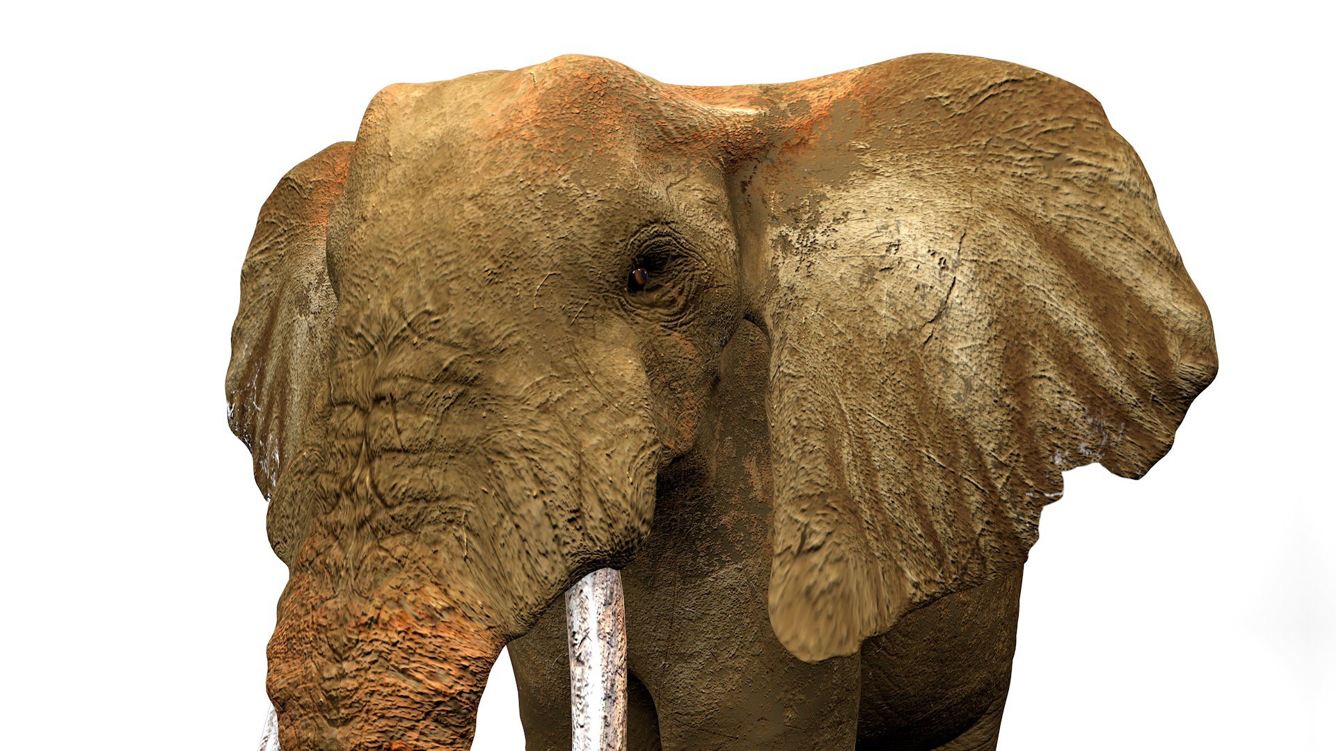 African Elephant RIGGED L2360 Model - TurboSquid 2391703
