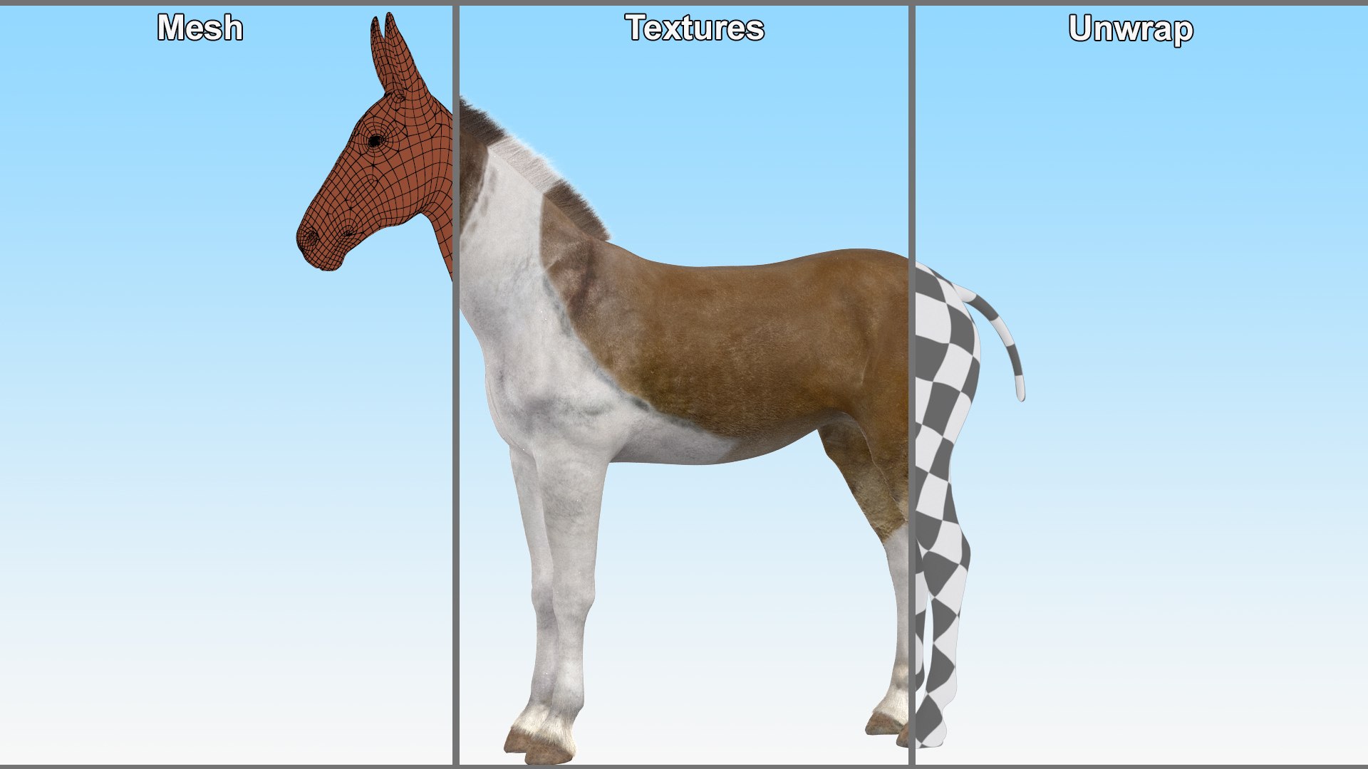 Mule Fur Model - TurboSquid 2280741