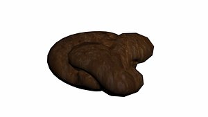 Realistic Poop