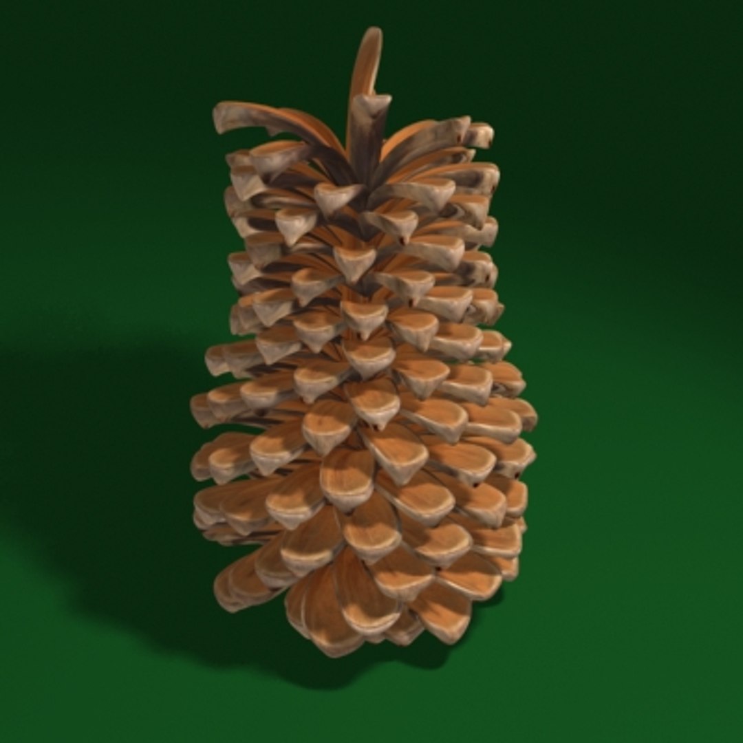 Frosted-pine-cones---01 3D model - TurboSquid 1362571