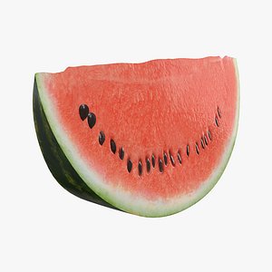 watermelon melon slice model