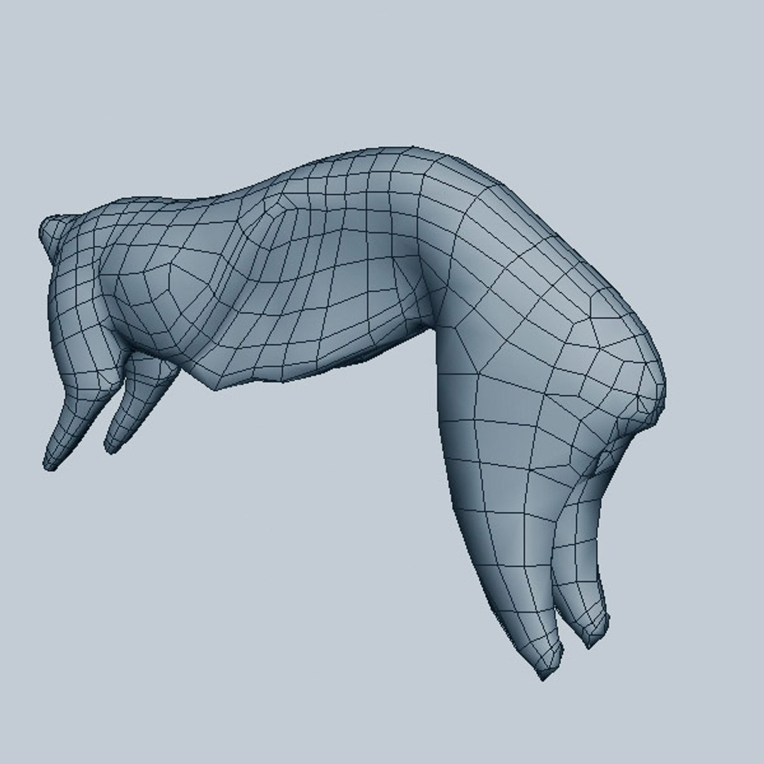 Body Rabbit Model - TurboSquid 1286324