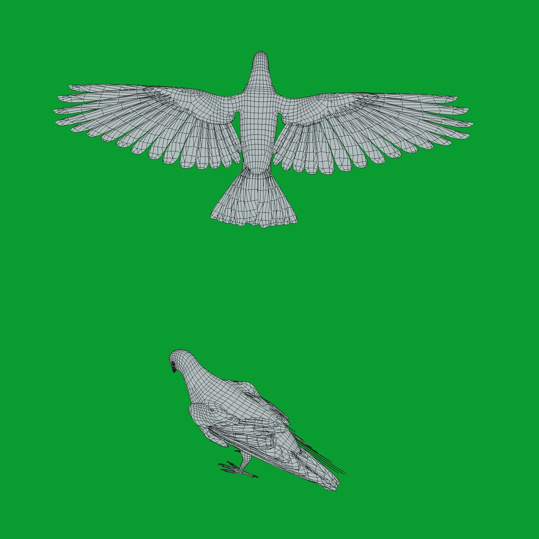 European Turtle Dove Bird 3D https://p.turbosquid.com/ts-thumb/7W/Ryocvn/Y8/wire/png/1759902913/1920x1080/fit_q87/8b5e8be29ac85a0c76eaea1271114baf00b70c1e/wire.jpg