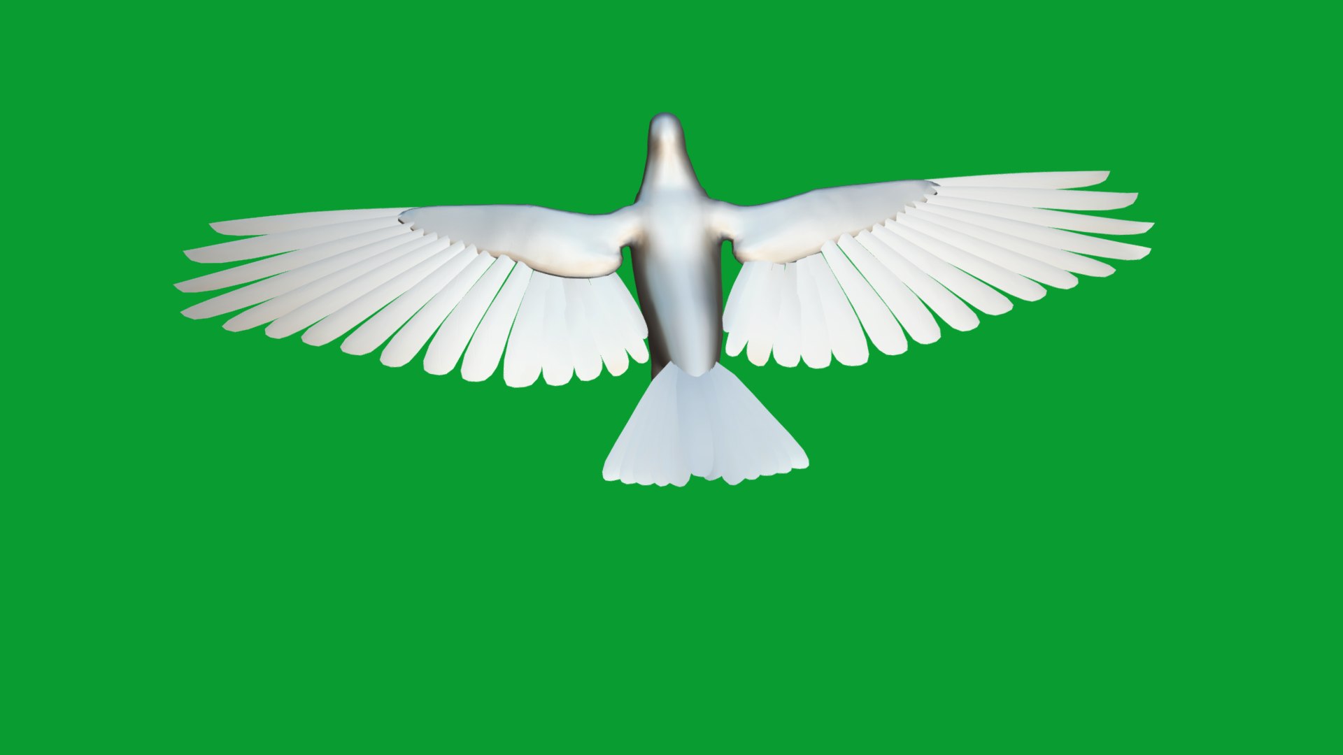 European Turtle Dove Bird 3D https://p.turbosquid.com/ts-thumb/7W/Ryocvn/uP/european_turtle_dove18/png/1759902622/1920x1080/fit_q87/72aa6c388dc9de5d3a8efcbb7aae723bea313bec/european_turtle_dove18.jpg