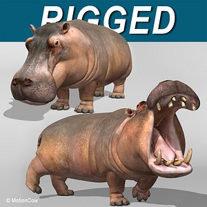 3d realistic rigged animation model