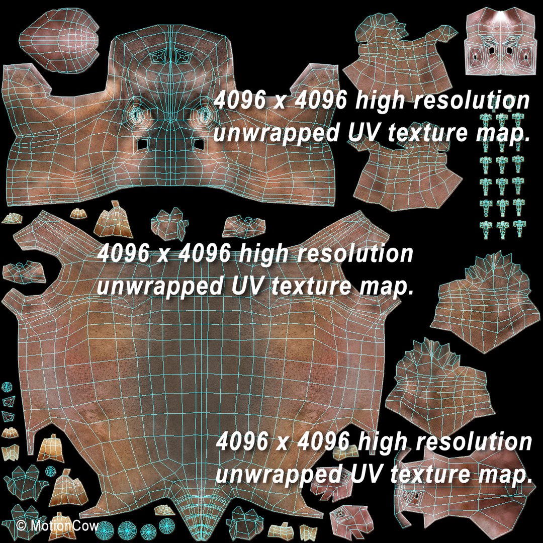 3d Realistic Rigged Animation Model